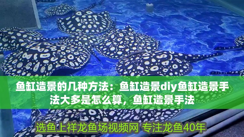 魚缸造景的幾種方法：魚缸造景diy魚缸造景手法大多是怎么算，魚缸造景手法