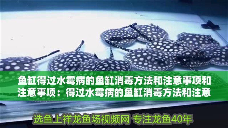魚缸得過水霉病的魚缸消毒方法和注意事項和注意事項：得過水霉病的魚缸消毒方法和注意事項和注意事項和注意事項