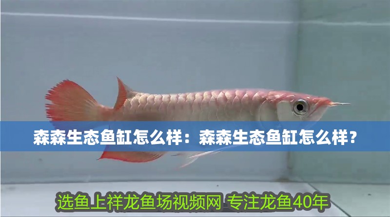 森森生態魚缸怎么樣：森森生態魚缸怎么樣？