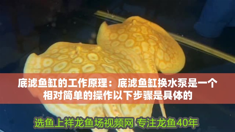 底濾魚(yú)缸的工作原理：底濾魚(yú)缸換水泵是一個(gè)相對(duì)簡(jiǎn)單的操作以下步驟是具體的