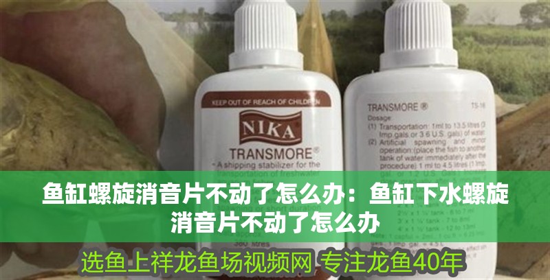 魚缸螺旋消音片不動(dòng)了怎么辦：魚缸下水螺旋消音片不動(dòng)了怎么辦 魚缸螺旋消音片不動(dòng)了怎么辦：魚缸下水螺旋消音片不動(dòng)了怎么辦 魚缸百科