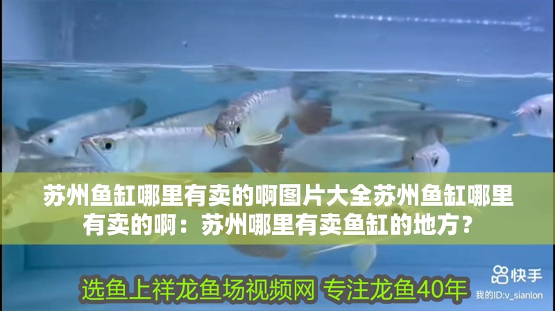 蘇州魚缸哪里有賣的啊圖片大全蘇州魚缸哪里有賣的啊：蘇州哪里有賣魚缸的地方？ 蘇州魚缸哪里有賣的啊圖片大全蘇州魚缸哪里有賣的啊：蘇州哪里有賣魚缸的地方？ 魚缸百科