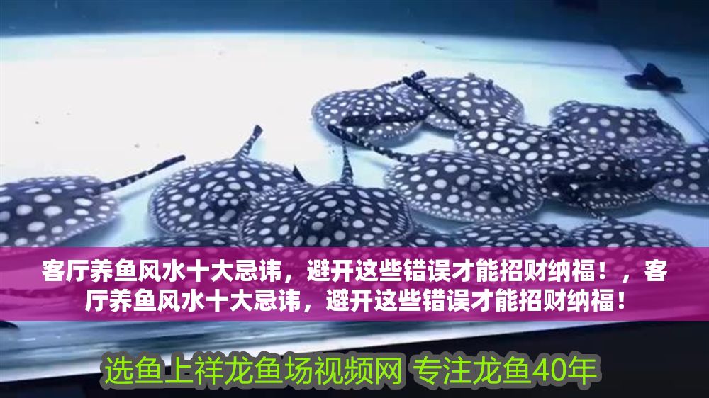 客廳養魚風水十大忌諱，避開這些錯誤才能招財納福！，客廳養魚風水十大忌諱，避開這些錯誤才能招財納福！