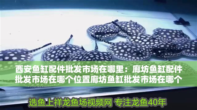 西安魚缸配件批發(fā)市場在哪里：廊坊魚缸配件批發(fā)市場在哪個位置廊坊魚缸批發(fā)市場在哪個位置呀