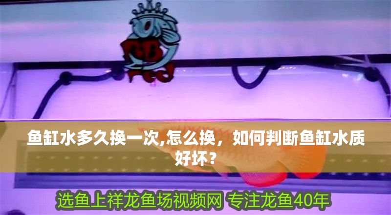 魚缸水多久換一次,怎么換，如何判斷魚缸水質(zhì)好壞？