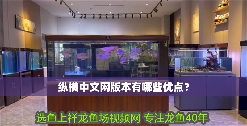 縱橫中文網版本有哪些優點？