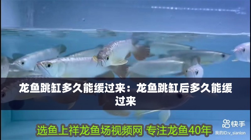 詳細閱讀:龍魚跳缸多久能緩過來:龍魚跳缸后多久能緩過來 龍魚跳缸多久能緩過來:龍魚跳缸后多久能緩過來