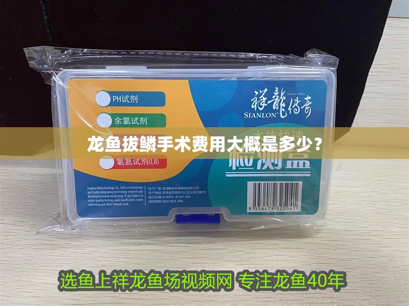 龍魚拔鱗手術費用大概是多少？ 龍魚拔鱗手術費用大概是多少？ 龍魚論壇