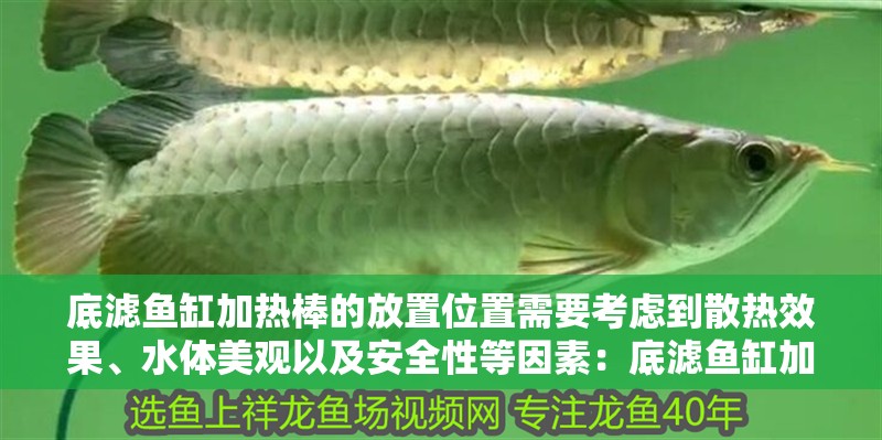底濾魚缸加熱棒的放置位置需要考慮到散熱效果、水體美觀以及安全性等因素：底濾魚缸加熱棒放置位置