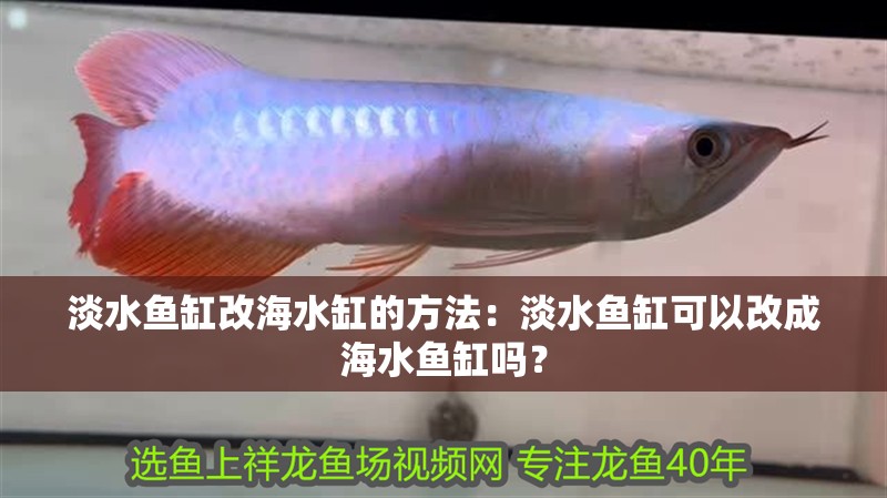 淡水魚缸改海水缸的方法：淡水魚缸可以改成海水魚缸嗎？ 淡水魚缸改海水缸的方法：淡水魚缸可以改成海水魚缸嗎？ 魚缸百科