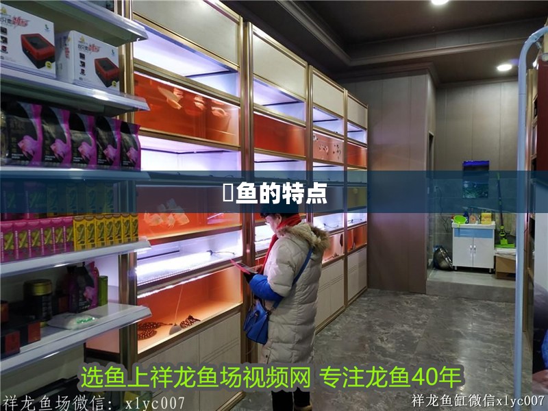 鮰魚的特點