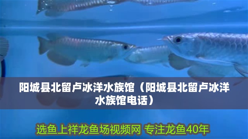 陽城縣北留盧冰洋水族館（陽城縣北留盧冰洋水族館電話）