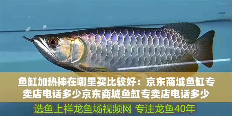 魚缸加熱棒在哪里買比較好：京東商城魚缸專賣店電話多少京東商城魚缸專賣店電話多少