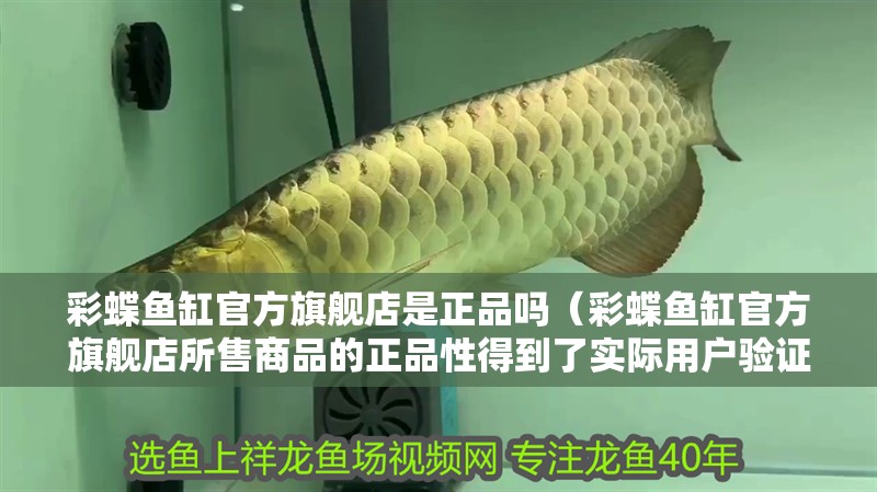 彩蝶魚缸官方旗艦店是正品嗎（彩蝶魚缸官方旗艦店所售商品的正品性得到了實際用戶驗證）