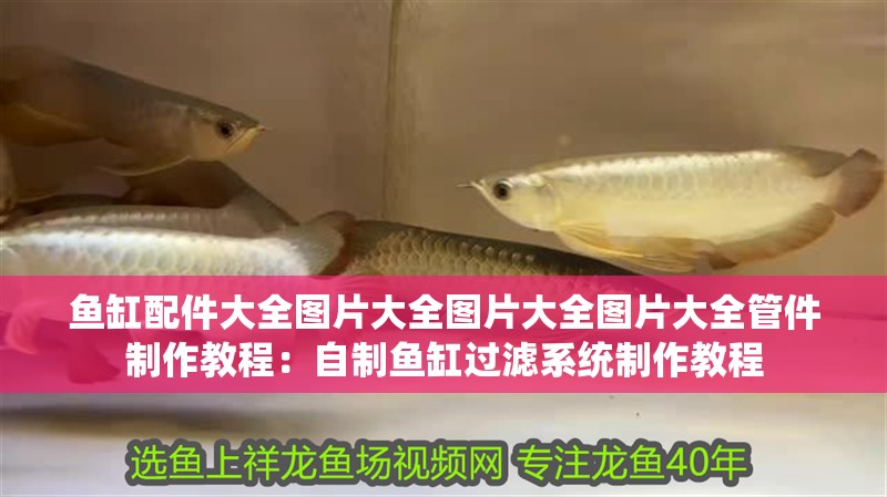 魚缸配件大全圖片大全圖片大全圖片大全管件制作教程：自制魚缸過濾系統制作教程
