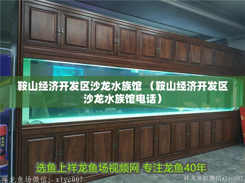 鞍山經濟開發區沙龍水族館 （鞍山經濟開發區沙龍水族館電話）