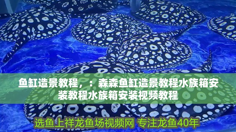 魚缸造景教程，：森森魚缸造景教程水族箱安裝教程水族箱安裝視頻教程