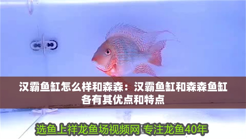 漢霸魚缸怎么樣和森森：漢霸魚缸和森森魚缸各有其優(yōu)點和特點