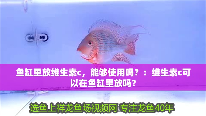 魚(yú)缸里放維生素c，能夠使用嗎？：維生素c可以在魚(yú)缸里放嗎？