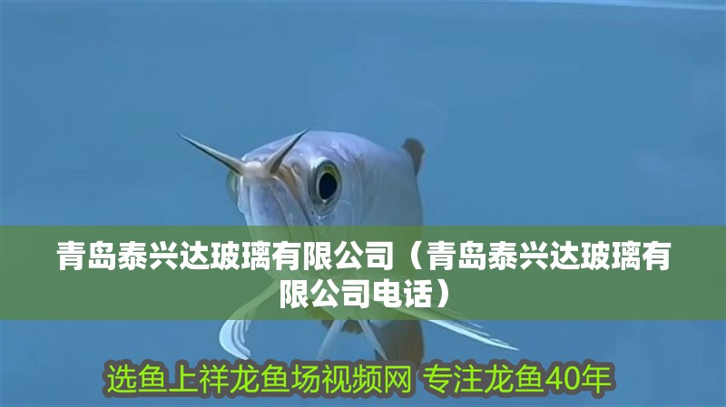 青島泰興達玻璃有限公司（青島泰興達玻璃有限公司電話） 青島泰興達玻璃有限公司（青島泰興達玻璃有限公司電話） 全國水族館企業名錄