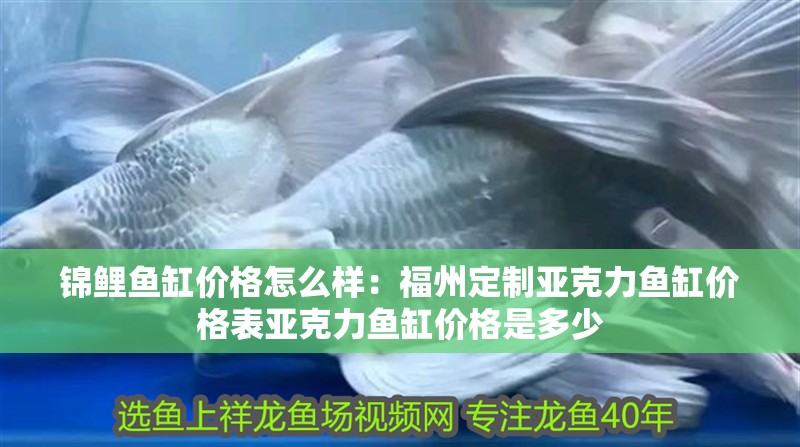 錦鯉魚缸價格怎么樣：福州定制亞克力魚缸價格表亞克力魚缸價格是多少 錦鯉魚缸價格怎么樣：福州定制亞克力魚缸價格表亞克力魚缸價格是多少 魚缸百科