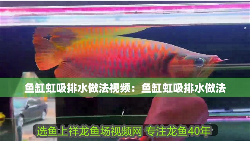 魚缸虹吸排水做法視頻：魚缸虹吸排水做法