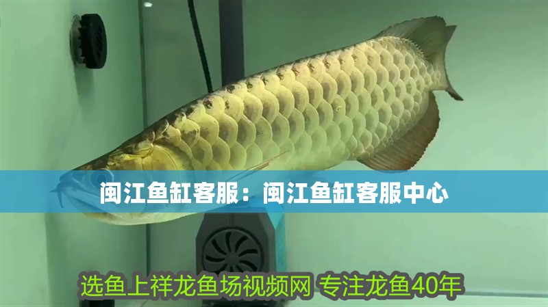 閩江魚缸客服：閩江魚缸客服中心 閩江魚缸客服：閩江魚缸客服中心 魚缸百科