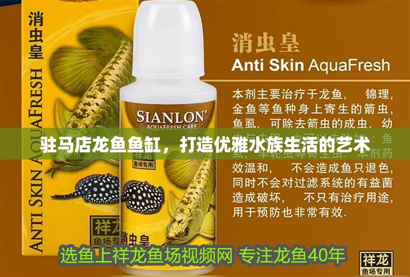 駐馬店龍魚魚缸，打造優(yōu)雅水族生活的藝術(shù)