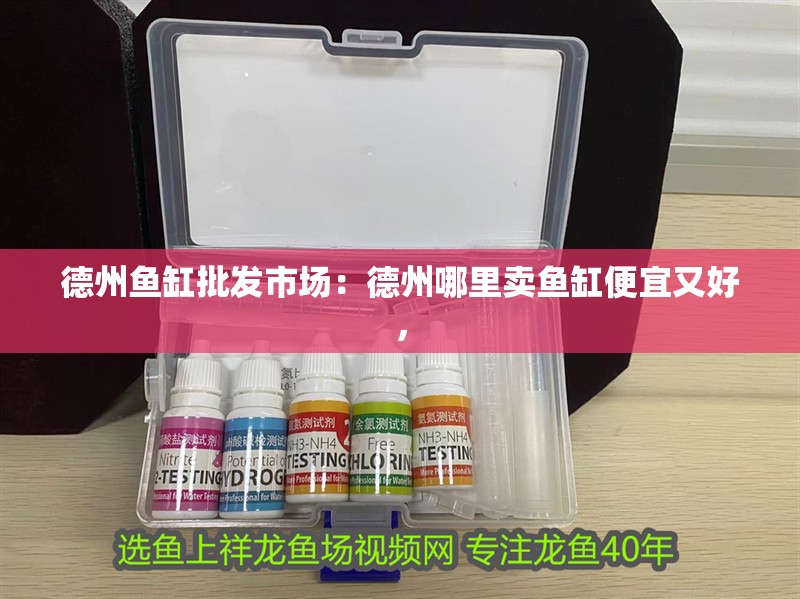 魚缸過濾器選購指南:自制魚缸過濾器魚缸上置過濾器對于養魚愛好者的必備知識 德州魚缸批發市場:德州哪里賣魚缸便宜又好, 魚缸百科 德州魚缸批發市場:德州哪里賣魚缸便宜又好, 德州魚缸批發市場:德州哪里賣魚缸便宜又好, 魚缸百科