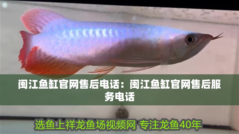 閩江魚缸官網售后電話：閩江魚缸官網售后服務電話 閩江魚缸官網售后電話：閩江魚缸官網售后服務電話 魚缸百科