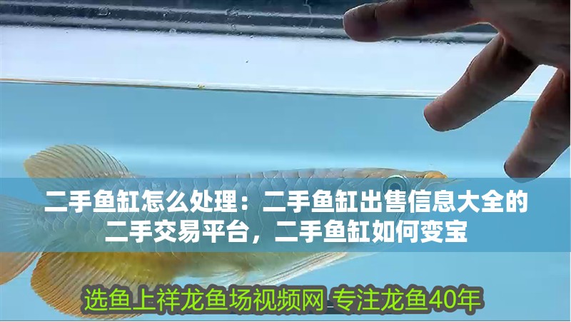 二手魚(yú)缸怎么處理：二手魚(yú)缸出售信息大全的二手交易平臺(tái)，二手魚(yú)缸如何變寶