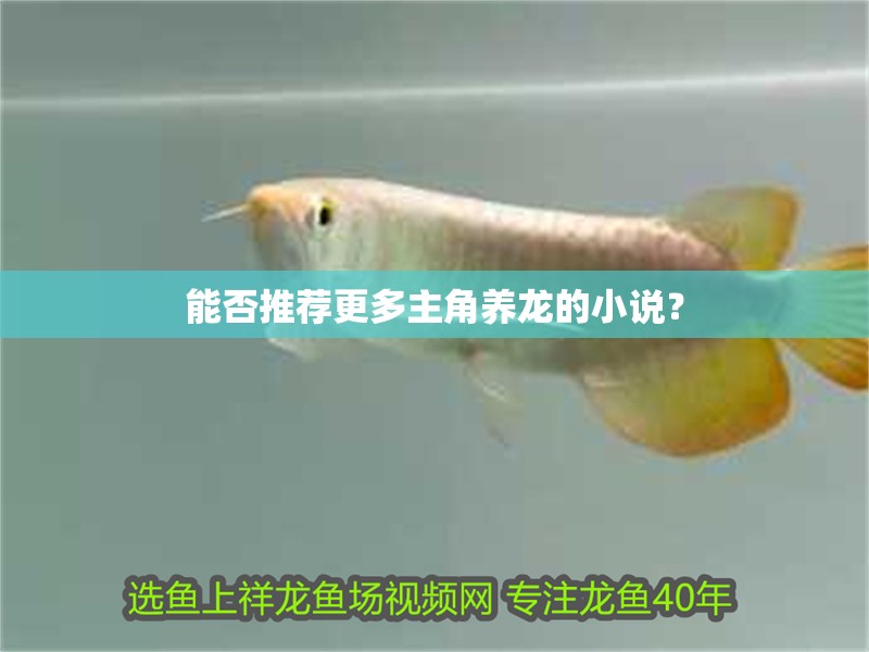 能否推薦更多主角養龍的小說？