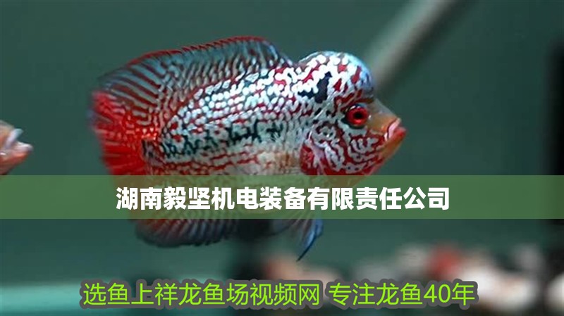 湖南毅堅機電裝備有限責任公司
