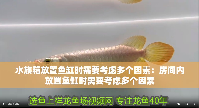 水族箱放置魚缸時(shí)需要考慮多個(gè)因素：房間內(nèi)放置魚缸時(shí)需要考慮多個(gè)因素
