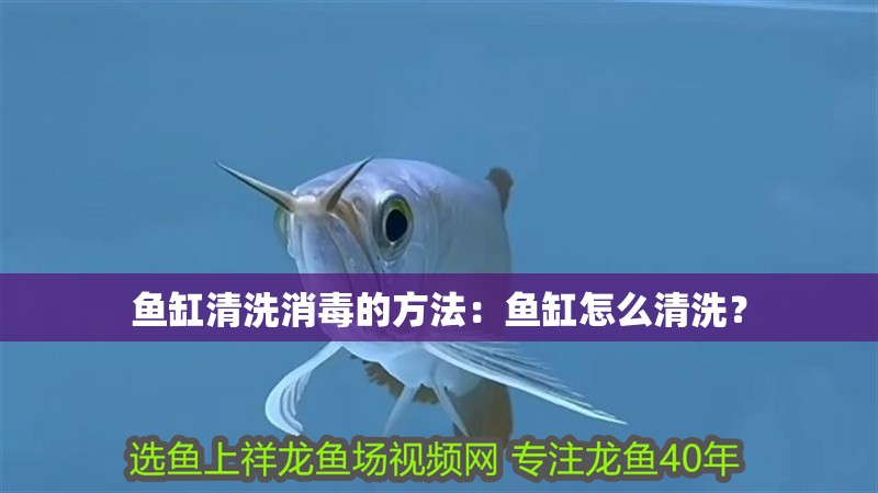 魚缸清洗消毒的方法：魚缸怎么清洗？