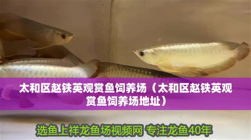<strong><mark>太和</mark></strong>區趙鐵英觀賞魚飼養場（<strong><mark>太和</mark></strong>區趙鐵英觀賞魚飼養場地址）