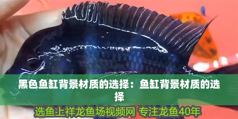 黑色魚缸背景材質的選擇：魚缸背景材質的選擇