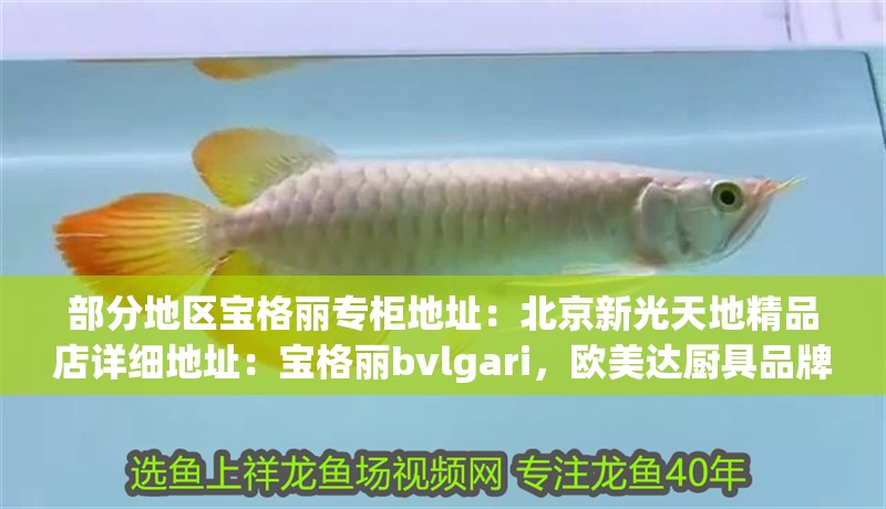 部分地區寶格麗專柜地址：<strong><mark>北京</mark></strong>新光天地精品店詳細地址：寶格麗bvlgari，歐美達廚具品牌有哪些