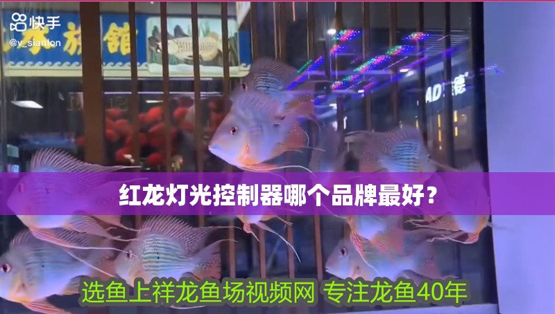紅龍燈光控制器哪個(gè)品牌最好？