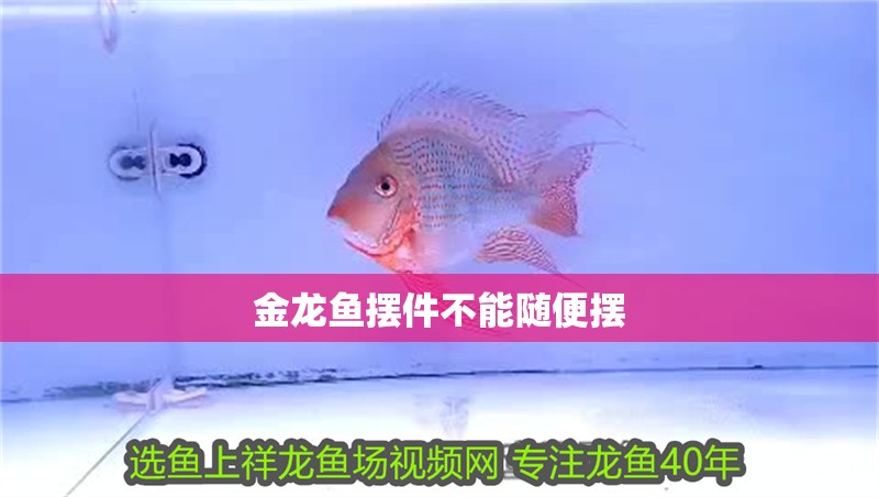 金龍魚擺件不能隨便擺