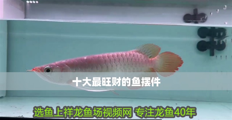十大最旺財(cái)?shù)聂~擺件