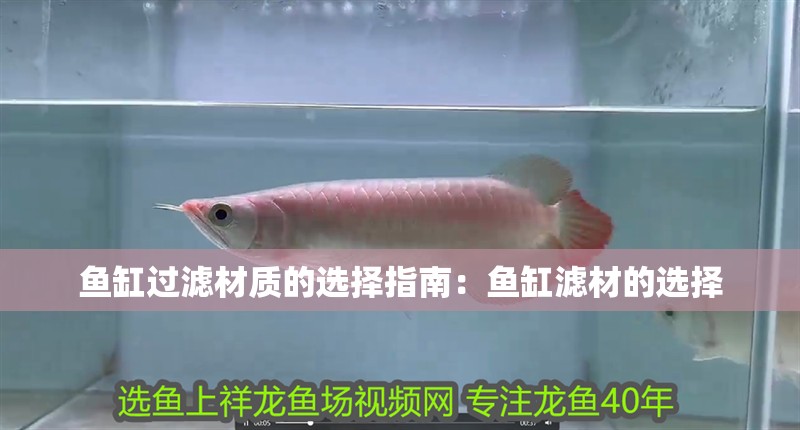 魚缸過濾材質的選擇指南：魚缸濾材的選擇