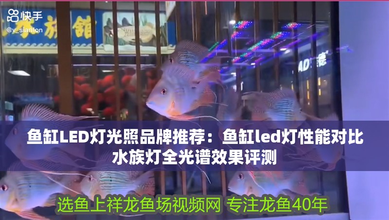 魚缸LED燈光照品牌推薦：魚缸led燈性能對比水族燈全光譜效果評測