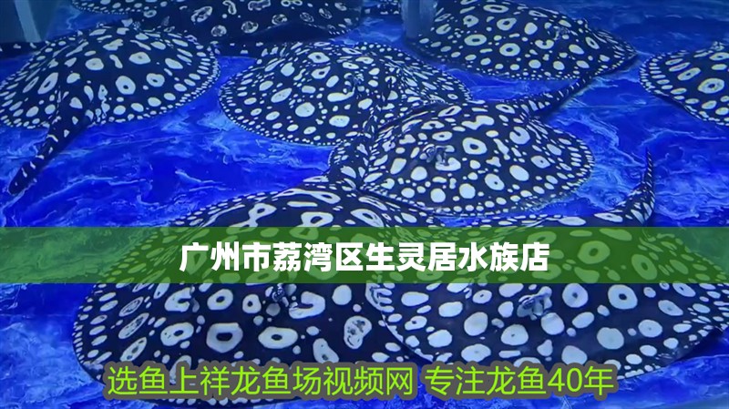 廣州市荔灣區(qū)生靈居水族店 廣州市荔灣區(qū)生靈居水族店 全國(guó)水族館企業(yè)名錄