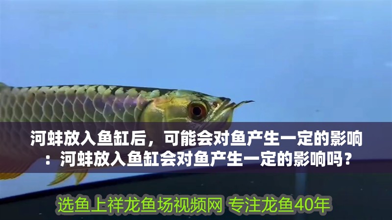 河蚌放入魚缸后，可能會對魚產(chǎn)生一定的影響：河蚌放入魚缸會對魚產(chǎn)生一定的影響嗎？