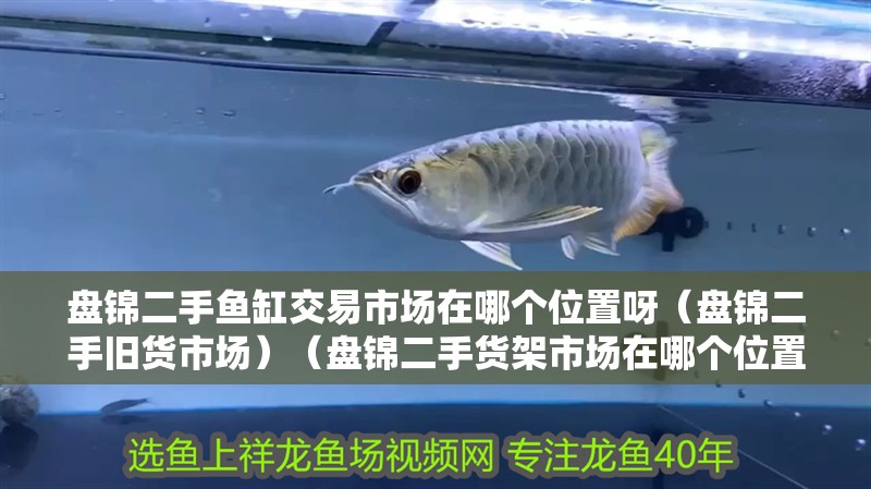 盤錦二手魚缸交易市場在哪個(gè)位置呀（盤錦二手舊貨市場）（盤錦二手貨架市場在哪個(gè)位置？）