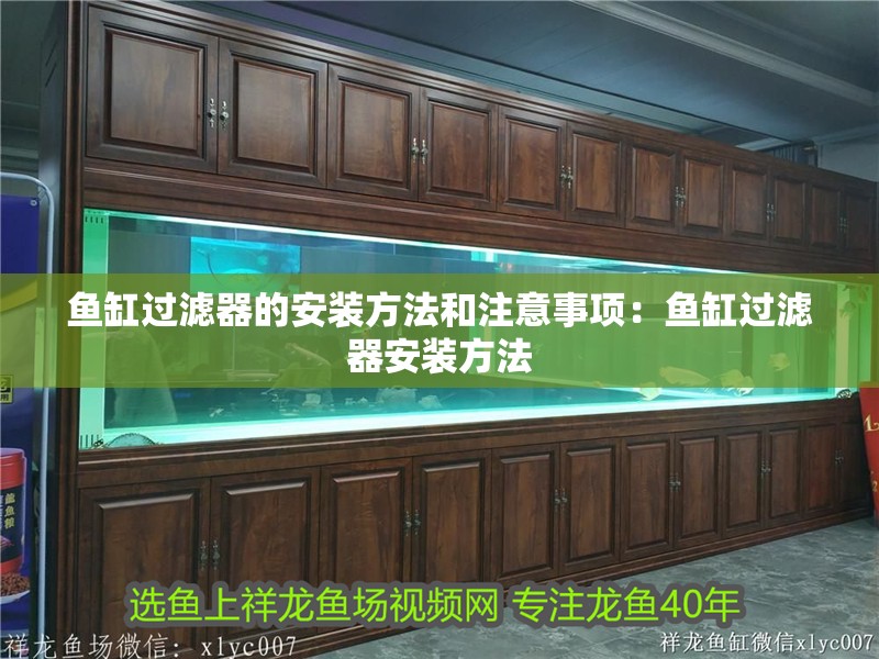 魚(yú)缸過(guò)濾器的安裝方法和注意事項(xiàng)：魚(yú)缸過(guò)濾器安裝方法
