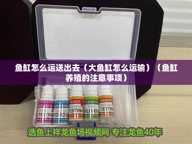 魚缸怎么運(yùn)送出去（大魚缸怎么運(yùn)輸）（魚缸養(yǎng)殖的注意事項）