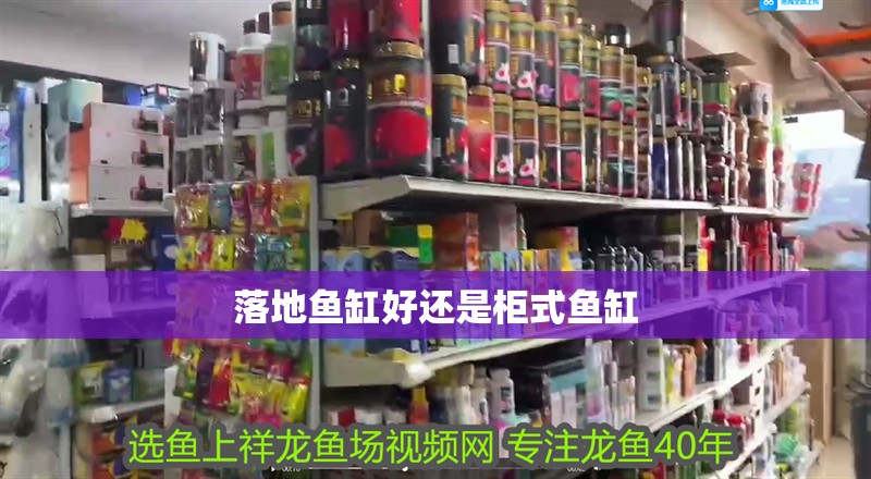 落地魚缸好還是柜式魚缸