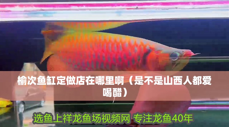 榆次魚缸定做店在哪里啊（是不是山西人都愛喝醋）